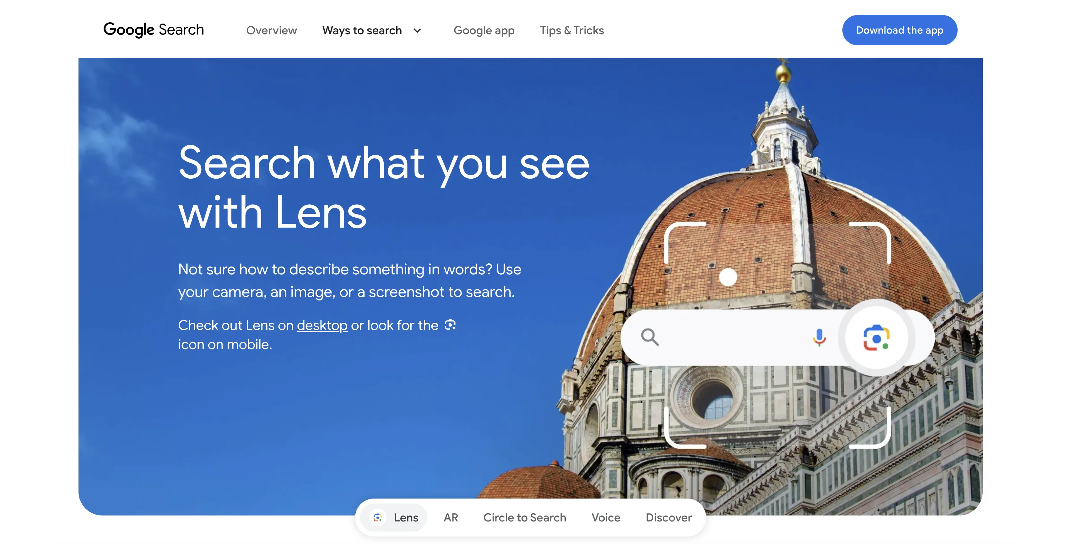 Google Search Site project image