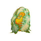 Remi project image